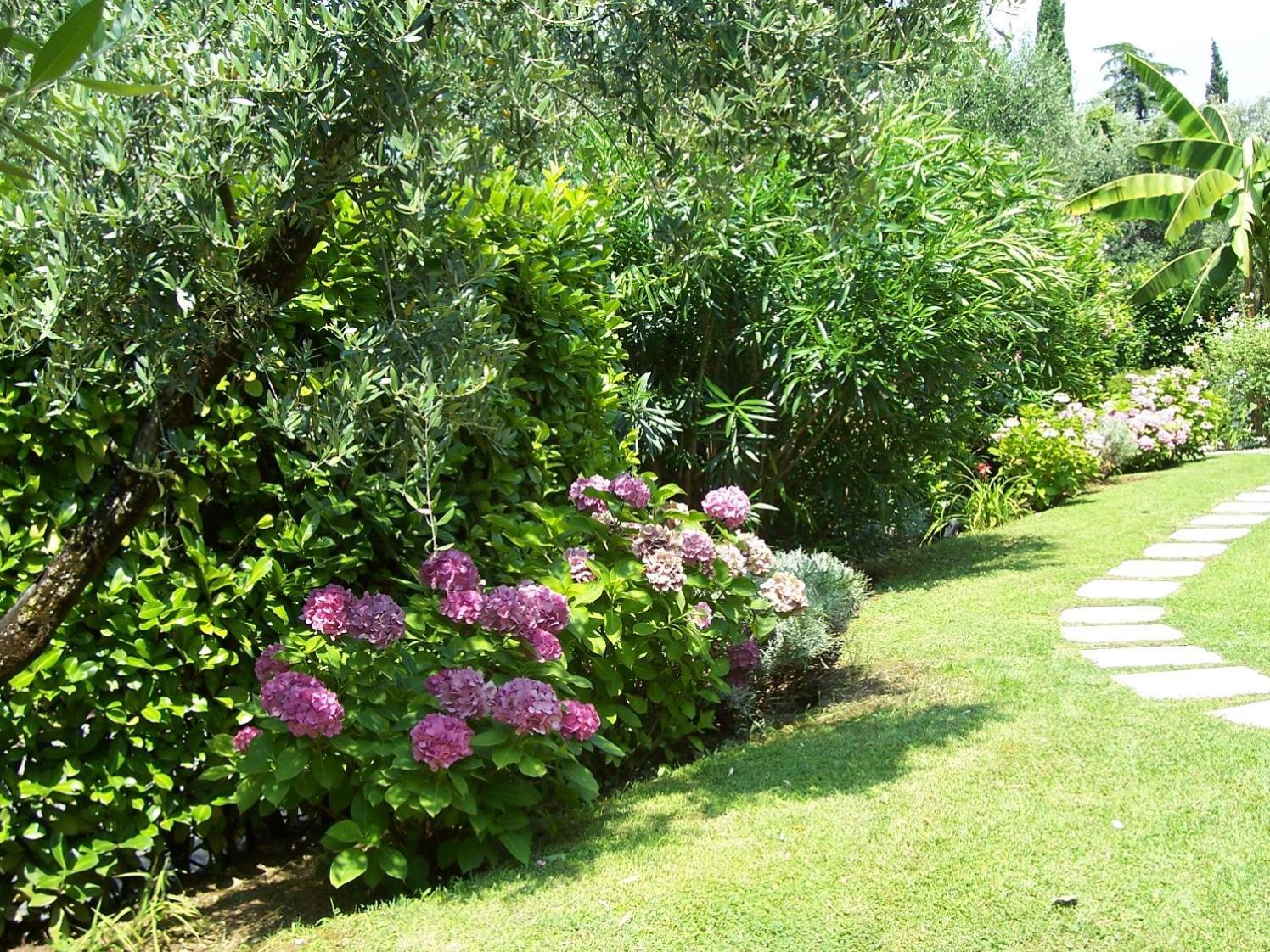 Villa Giada توري ديل بيناكو المظهر الخارجي الصورة